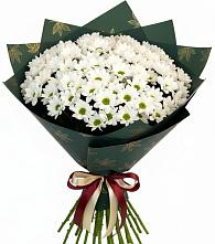 Букет цветов из:  Хризантемы #REPLACE_PRED# Большой Исток