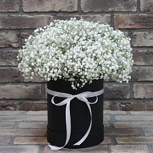 Цветочная композиция из Гипсофила в шляпной коробке в Большой Исток
