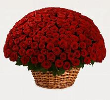 Премиум букет из: Розы в Большой Исток